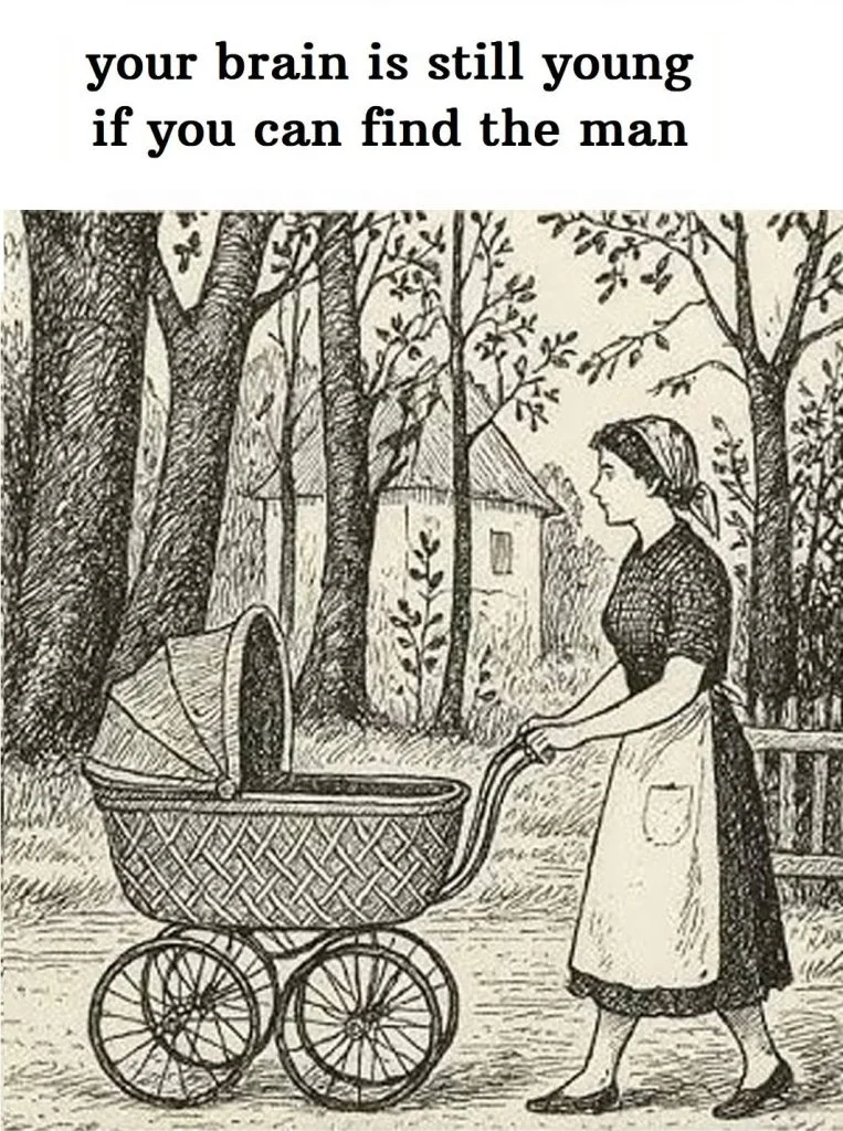 can-you-spot-the-hidden-face-in-this-vintage-park- cover